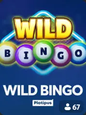 Wild Bingo BC Game Denmark game cover