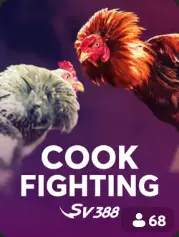 Cock Fighting BC Game Denmark game cover